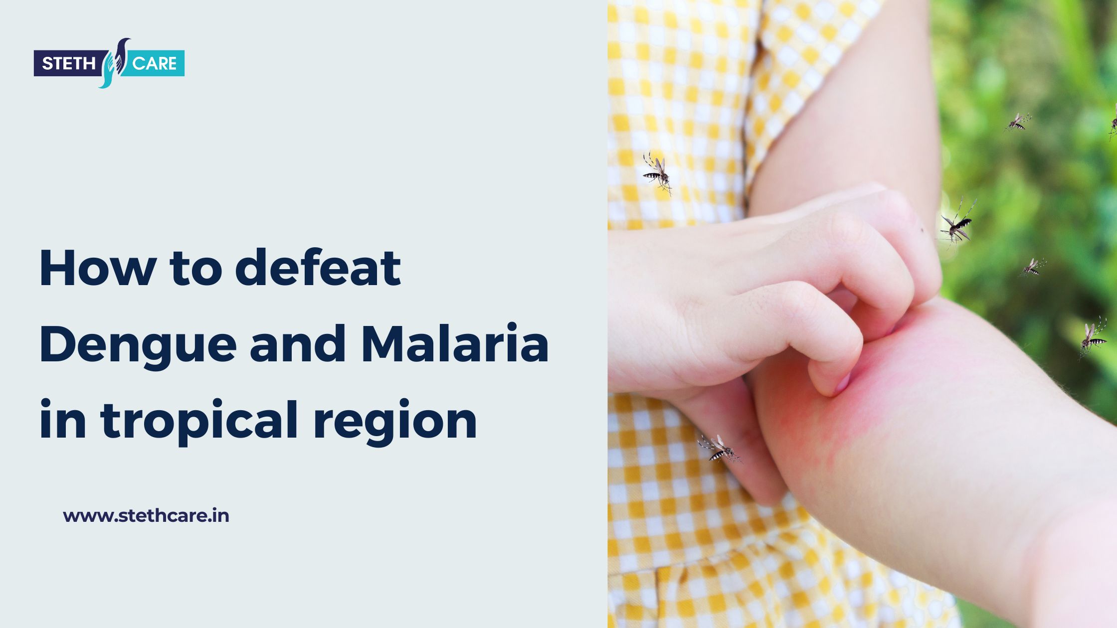 How to defeat Dengue and Malaria in tropical region